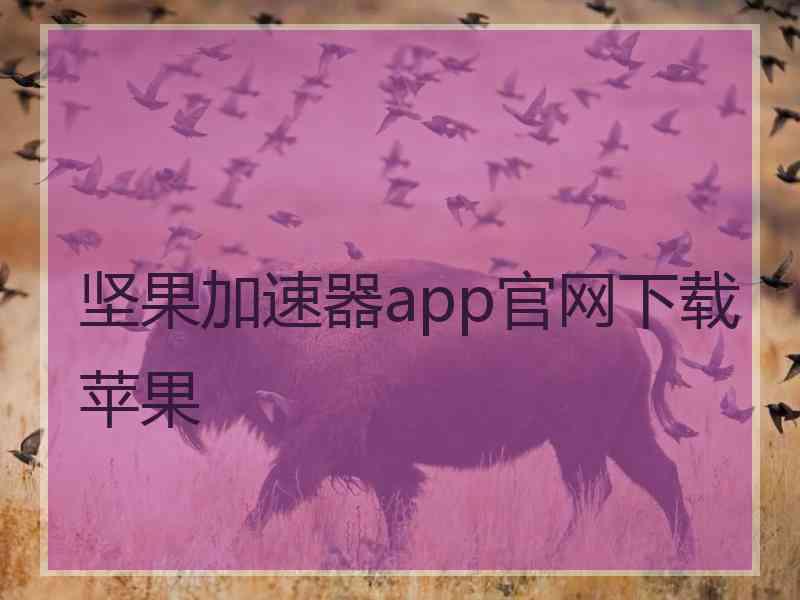 坚果加速器app官网下载苹果