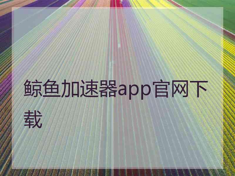 鲸鱼加速器app官网下载