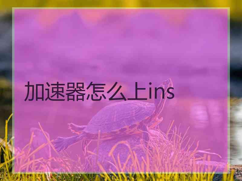 加速器怎么上ins