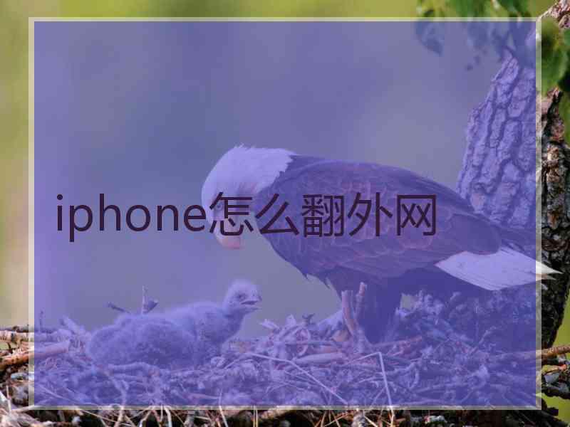 iphone怎么翻外网