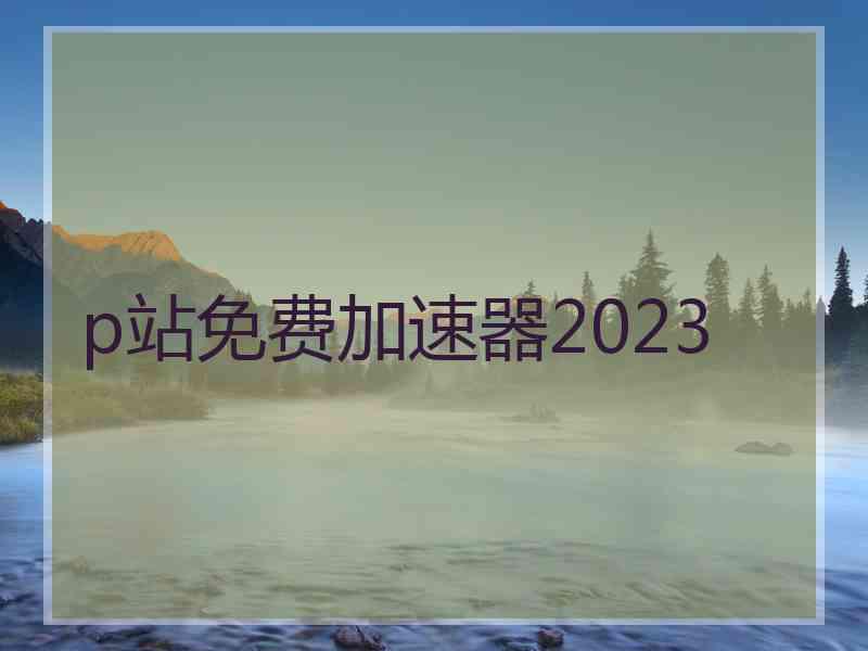 p站免费加速器2023