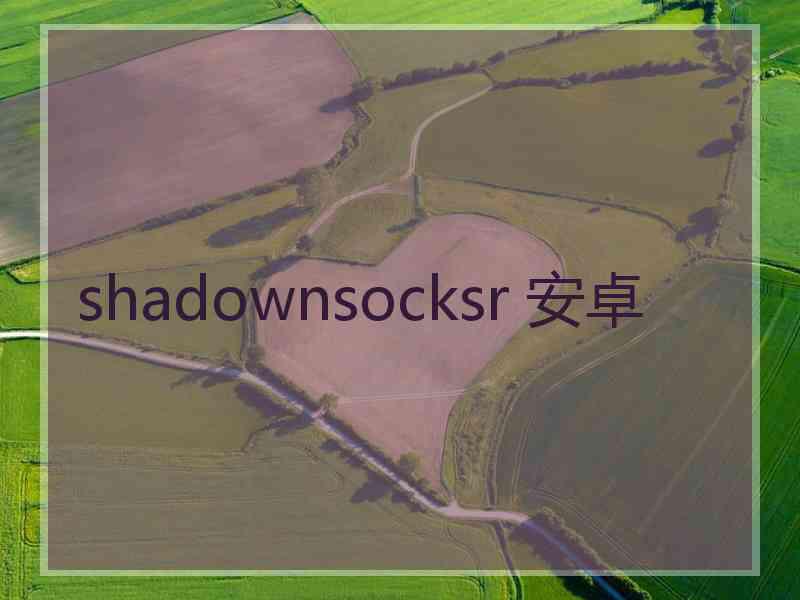 shadownsocksr 安卓