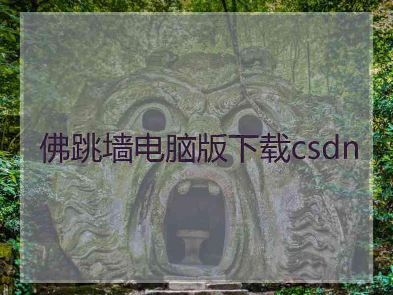 佛跳墙电脑版下载csdn