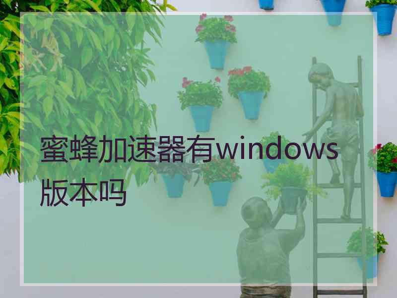 蜜蜂加速器有windows版本吗