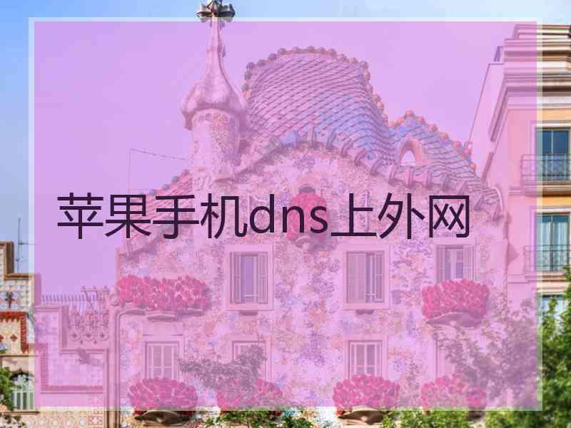 苹果手机dns上外网