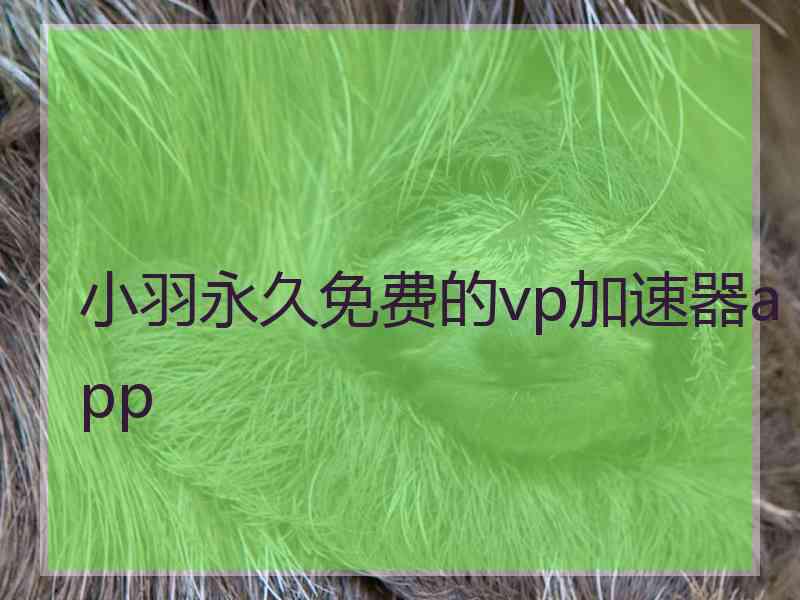 小羽永久免费的vp加速器app