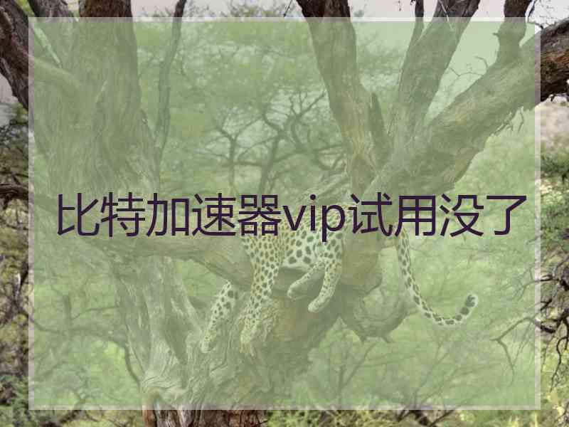 比特加速器vip试用没了