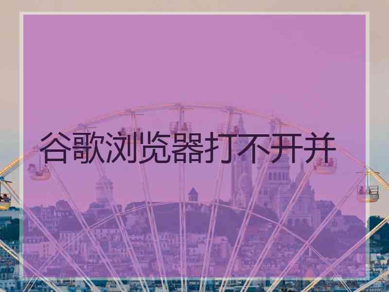 谷歌浏览器打不开并