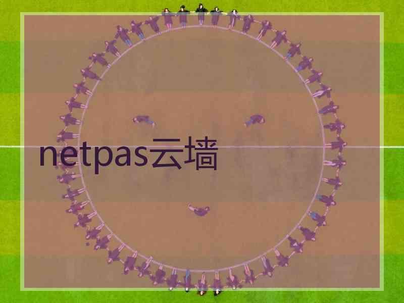 netpas云墙