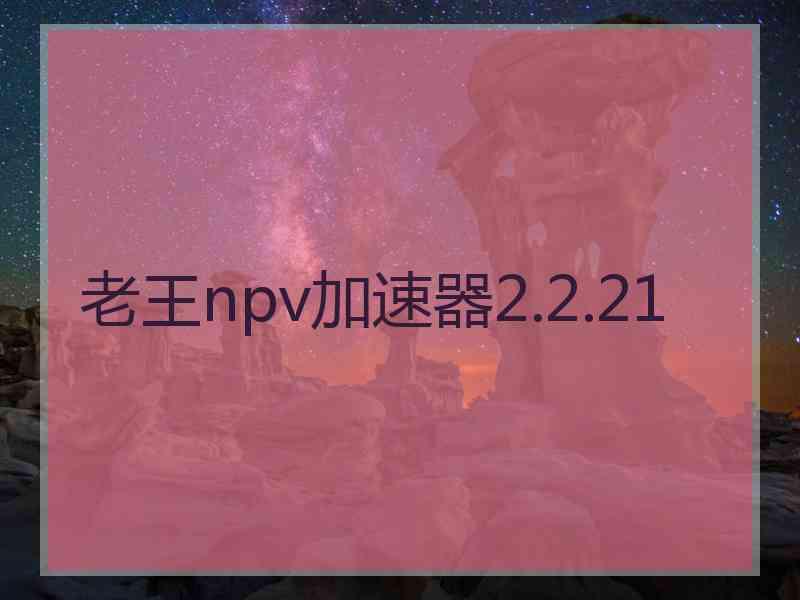 老王npv加速器2.2.21