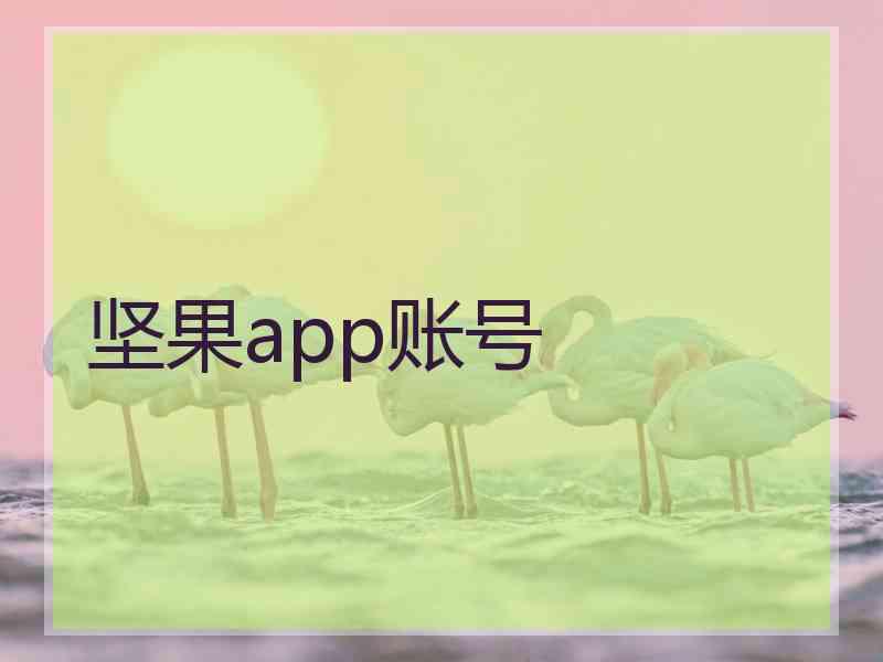 坚果app账号