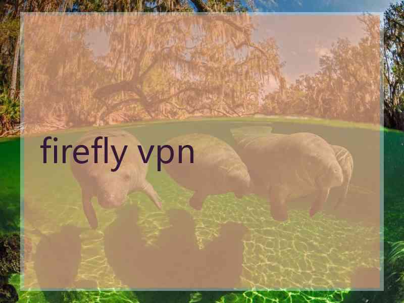 firefly vpn