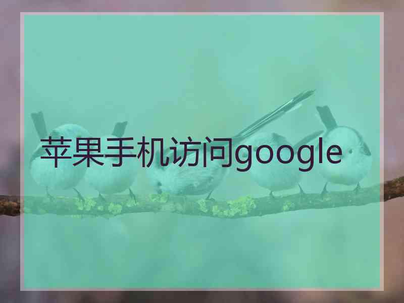 苹果手机访问google