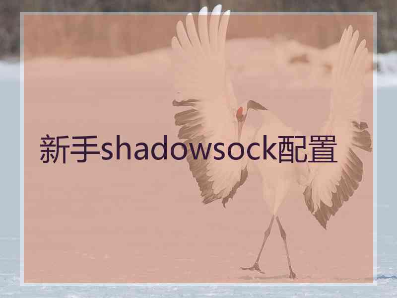 新手shadowsock配置