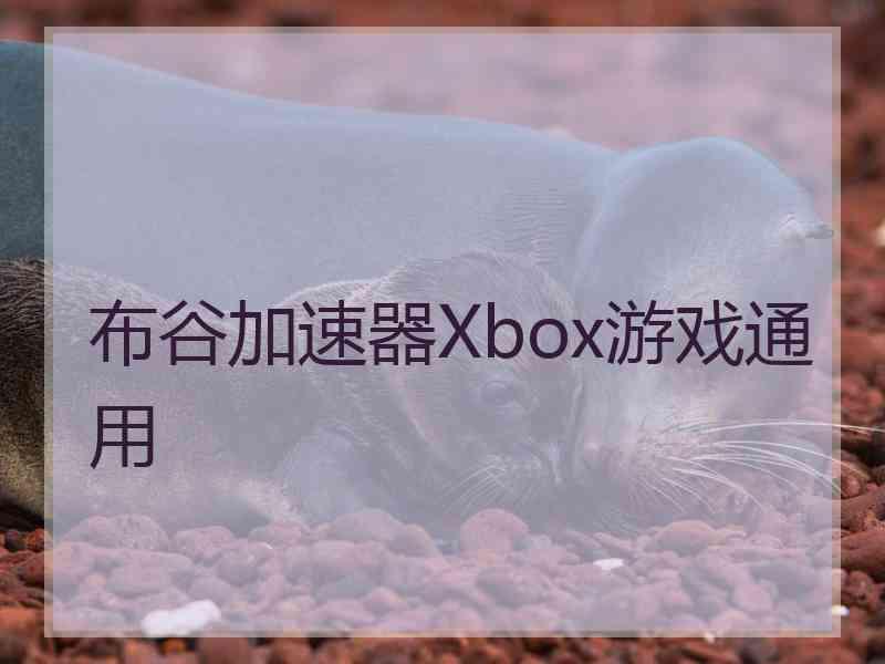 布谷加速器Xbox游戏通用