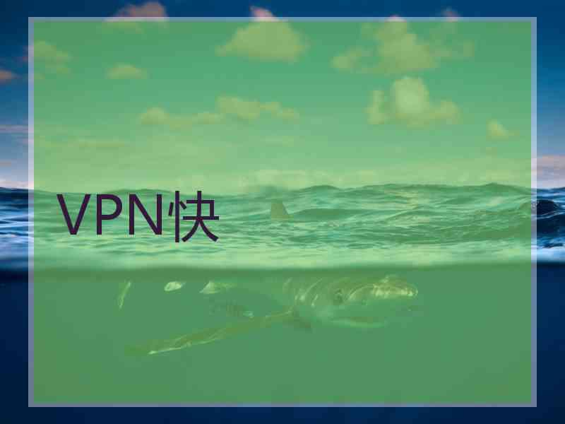 VPN快