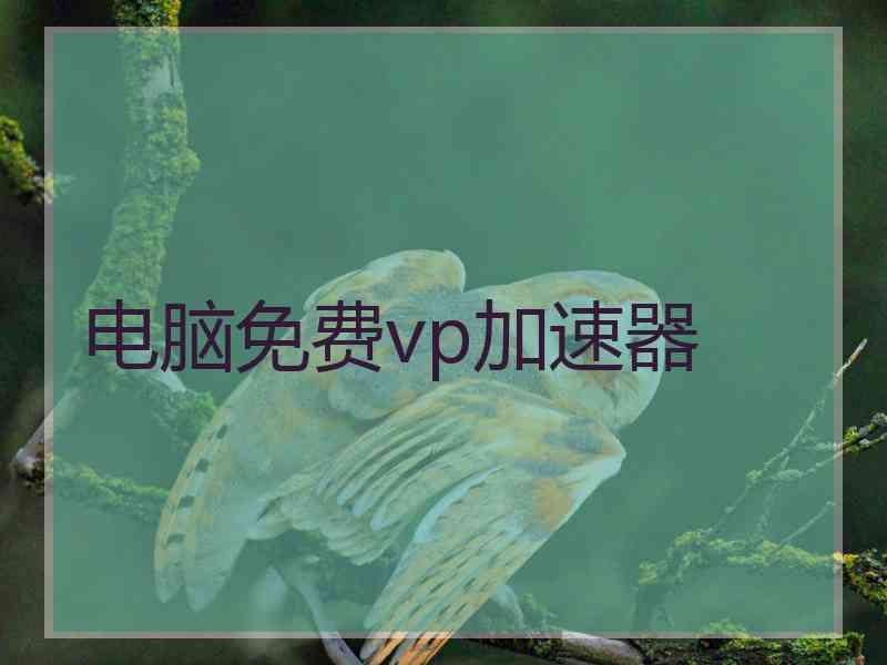 电脑免费vp加速器