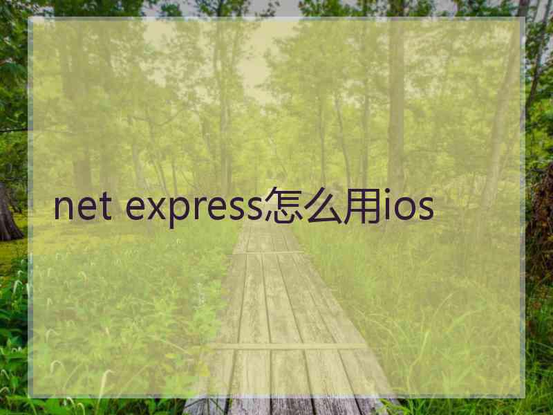 net express怎么用ios