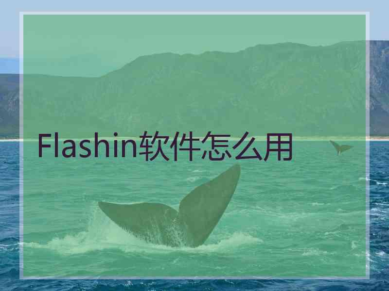 Flashin软件怎么用