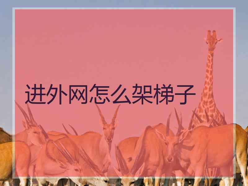 进外网怎么架梯子