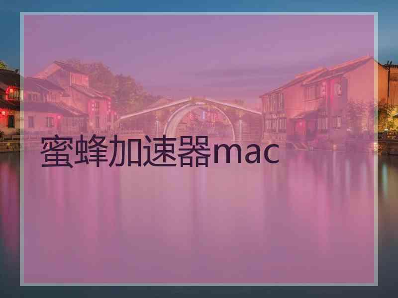 蜜蜂加速器mac