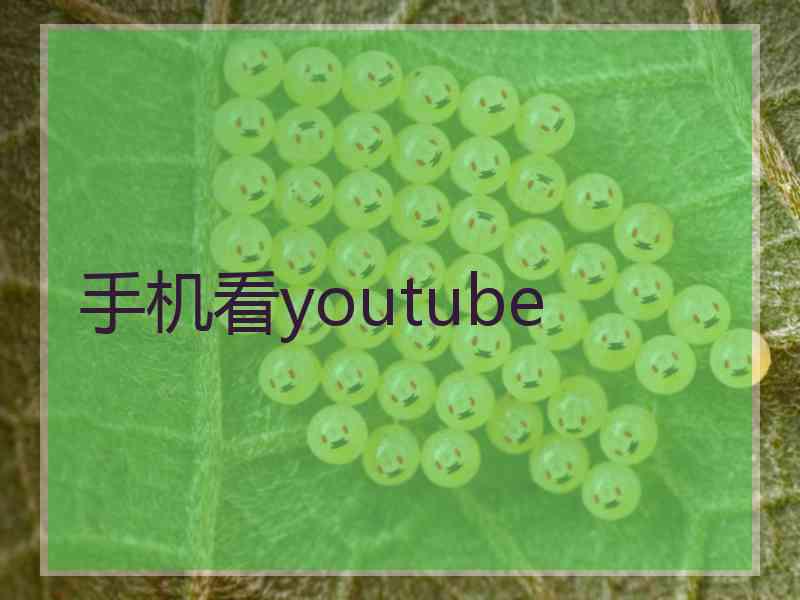 手机看youtube