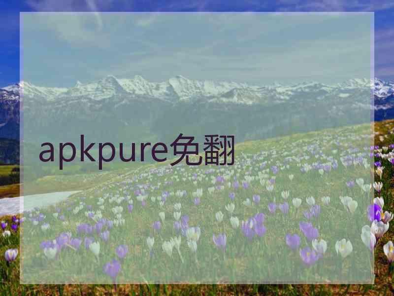 apkpure免翻