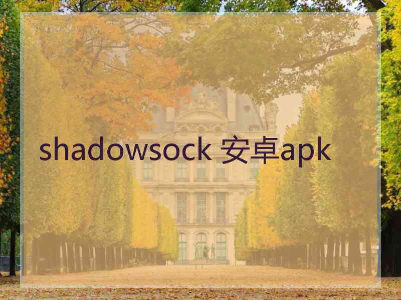 shadowsock 安卓apk