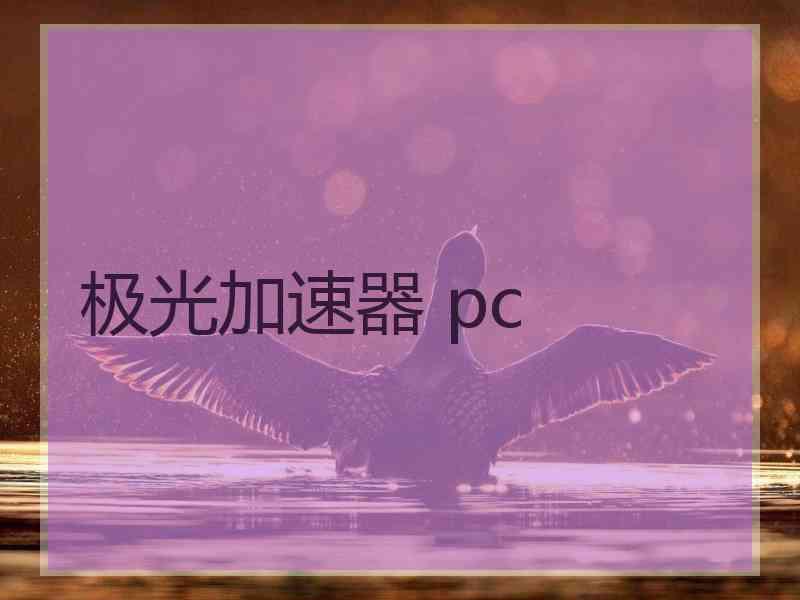 极光加速器 pc