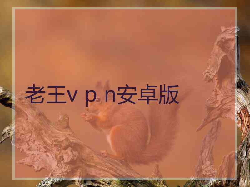 老王v p n安卓版