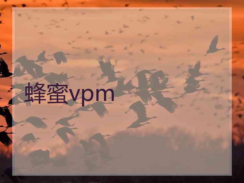 蜂蜜vpm