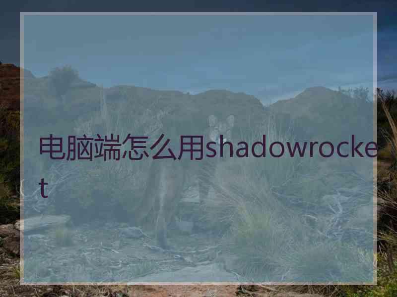 电脑端怎么用shadowrocket