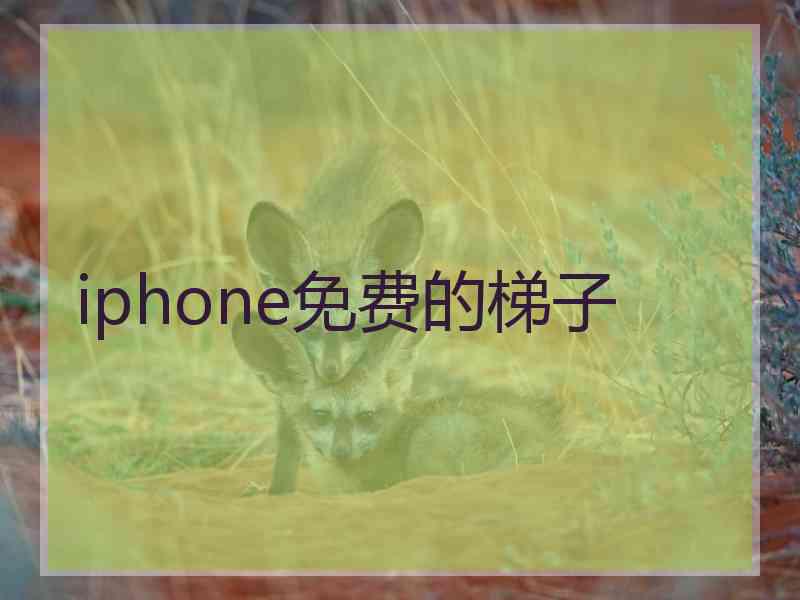 iphone免费的梯子