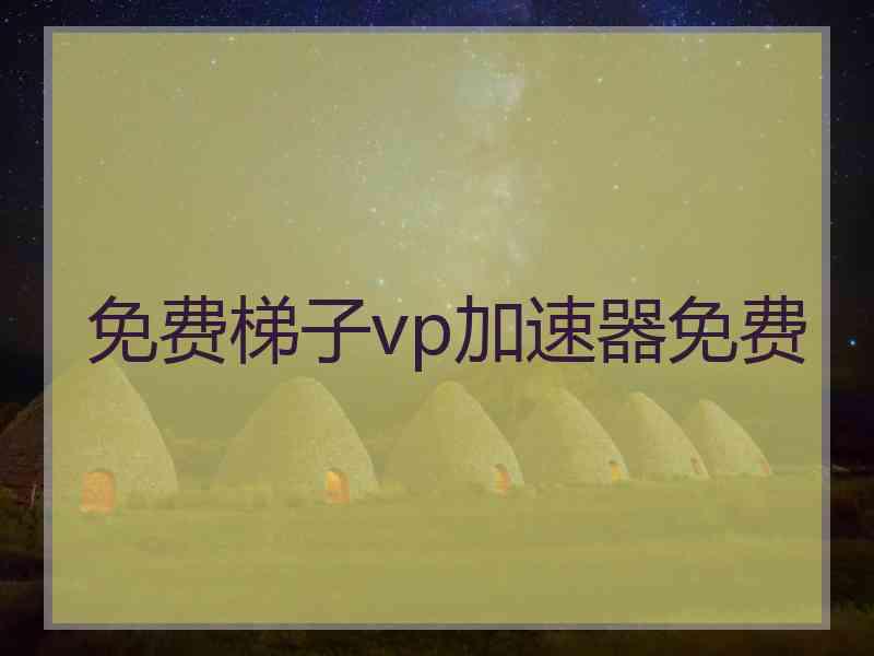 免费梯子vp加速器免费