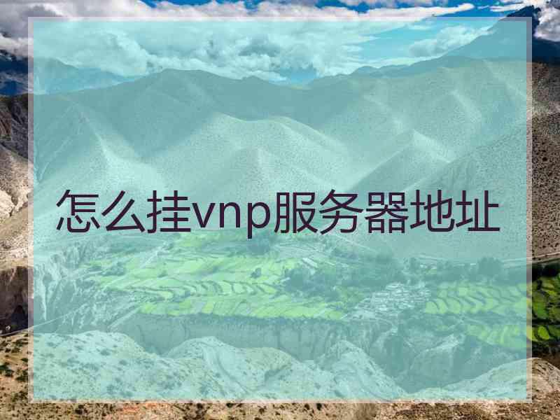 怎么挂vnp服务器地址