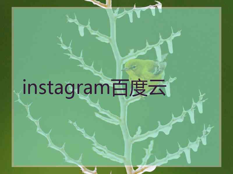 instagram百度云