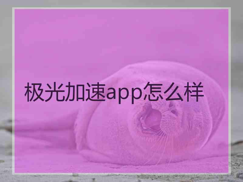 极光加速app怎么样