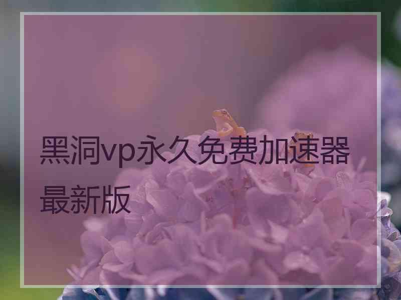 黑洞vp永久免费加速器最新版