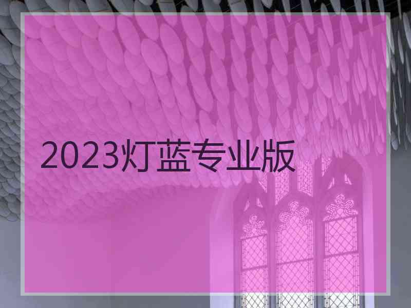 2023灯蓝专业版