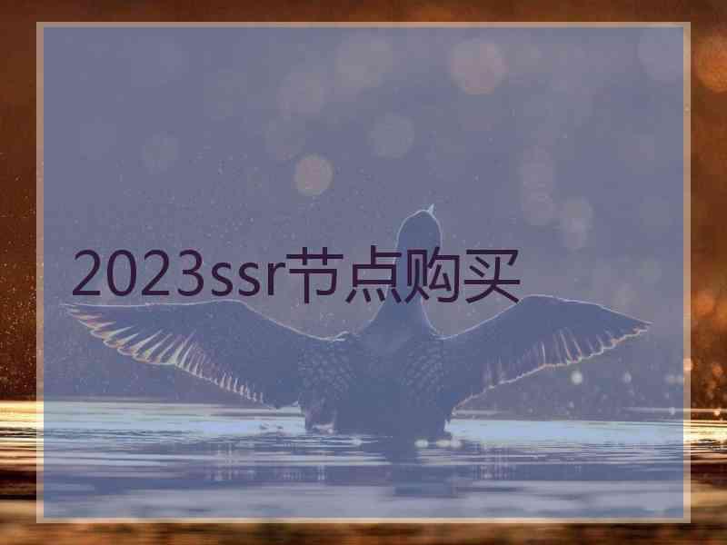 2023ssr节点购买