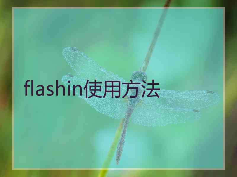 flashin使用方法