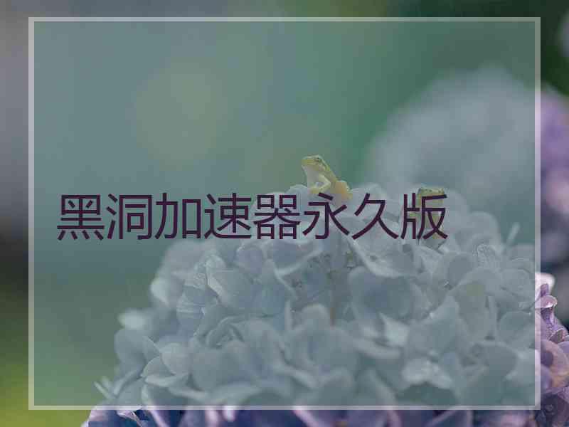 黑洞加速器永久版