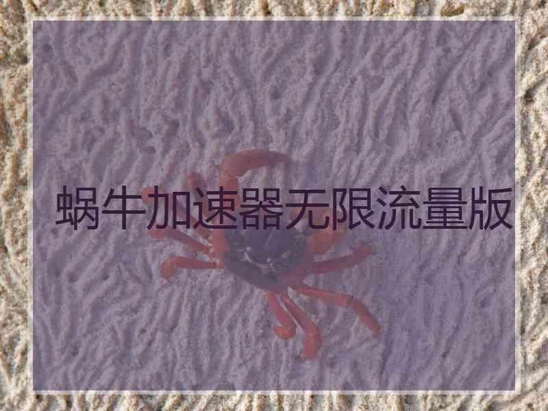 蜗牛加速器无限流量版