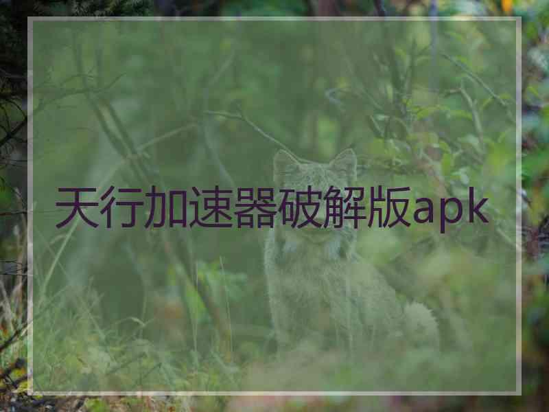 天行加速器破解版apk