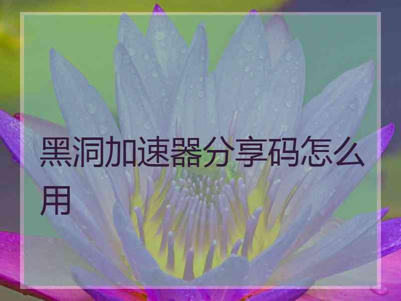 黑洞加速器分享码怎么用