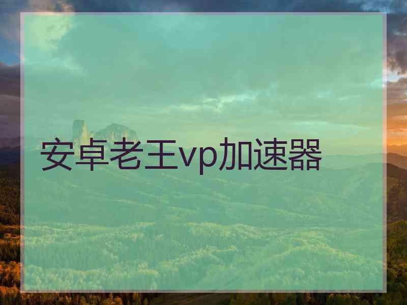 安卓老王vp加速器