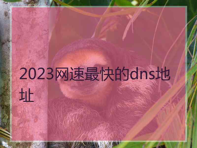 2023网速最快的dns地址