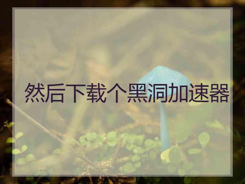 然后下载个黑洞加速器