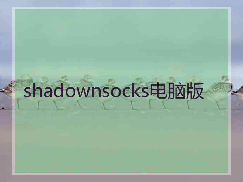 shadownsocks电脑版