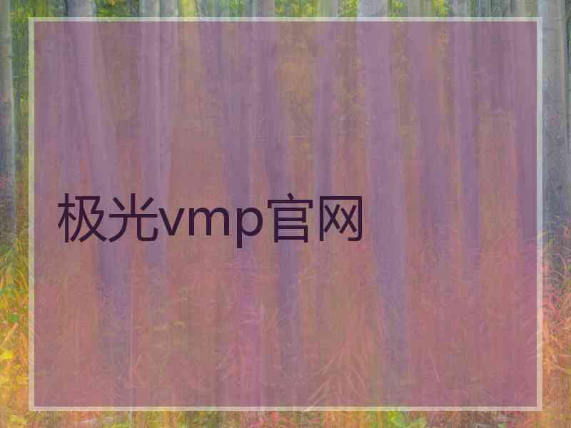 极光vmp官网